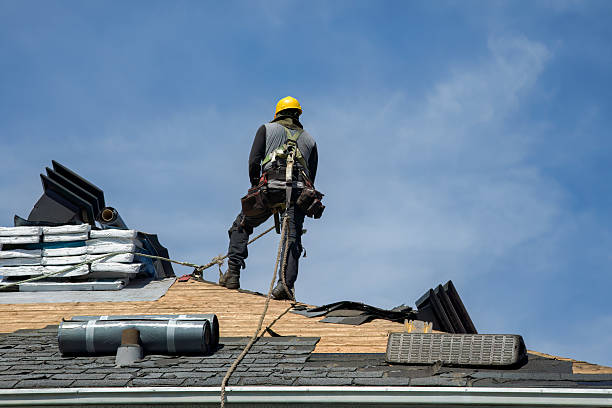 Professional Flat Roof Repair technician working in Oak Grove, MN